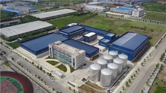 天府菜油 從四川沃土到淘寶平臺，打造國內(nèi)一流糧油品牌的品牌視覺之旅